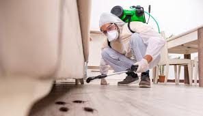 Best Pest Exclusion Services  in Coraopolis, PA